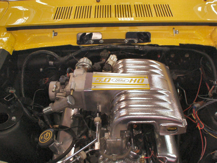 1965 Mustang 5.0